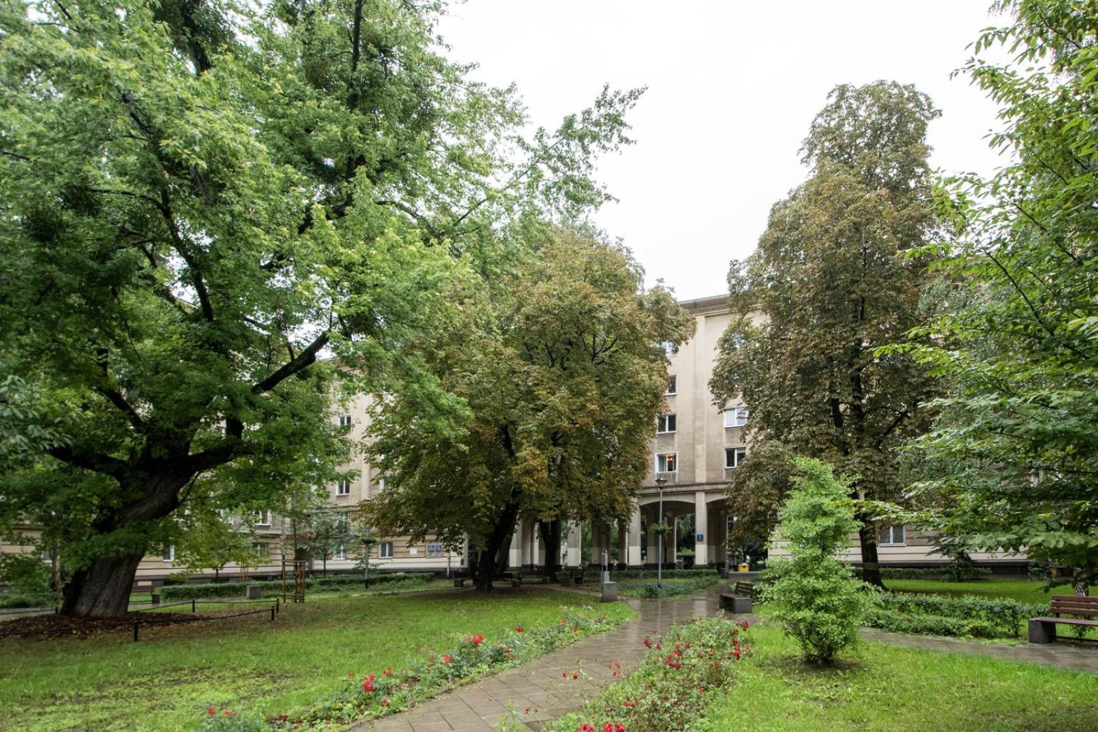 Labo Ogrodowa * Warschau